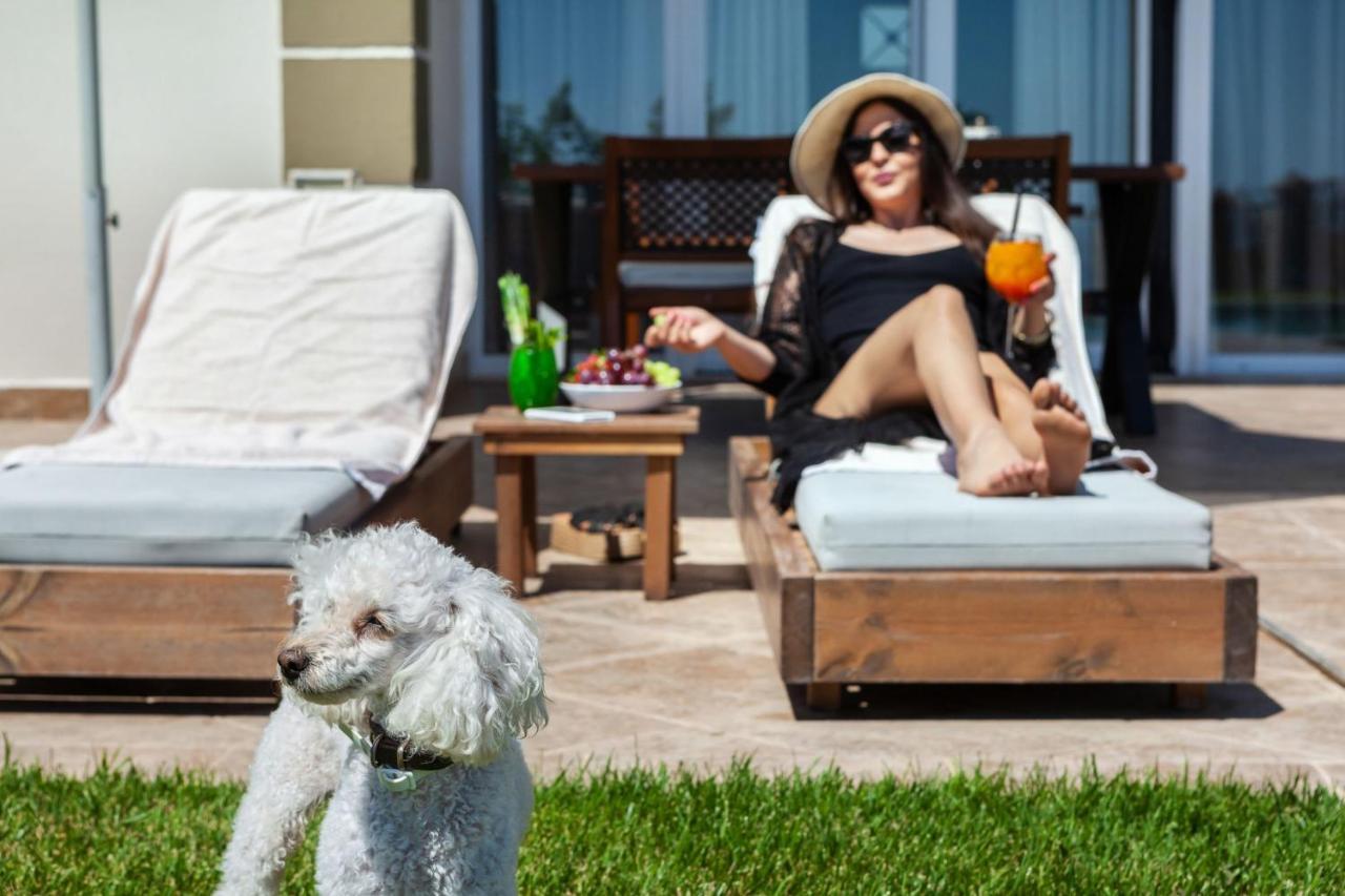 Sunny Grande Villa *